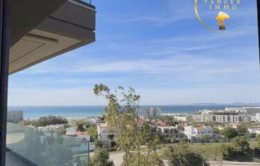APPARTEMENT DE LUXE MALABATA
