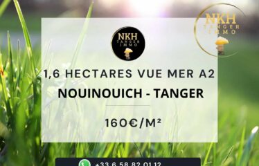 Terrain de 1,6 ha vue mer à Nouinouich, Tanger
