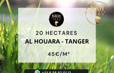 🌿 20ha À AL HOUARA – TANGER 🌿