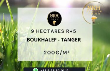 Terrain de 9 hectares R+5 à vendre à Boukhalef, Tanger