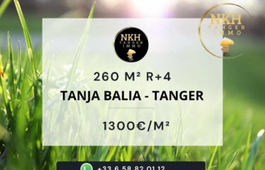TERRAIN R+4 TANJA BALIA