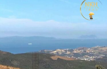 🌊 Terrain vue mer à Aïn Zitouna -630M2– Opportunité rare**