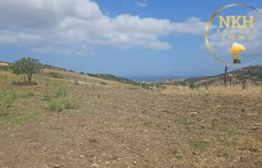 🌊 Terrain à vendre à Fedden Saïd – 994 m² avec vue mer & montagne
