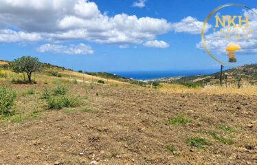 🌊 Terrain à vendre à Fedden Saïd – 994 m² avec vue mer & montagne